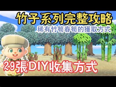 動森種竹子距離|【動森種竹子距離】動森種竹子距離這樣量！輕鬆佈置竹林美景！